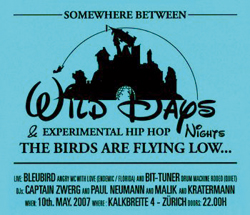 Wild Days – The Birds Are Flying Low