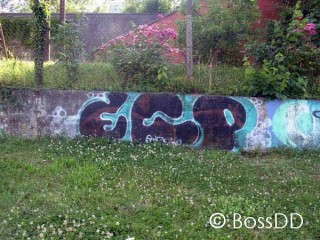 BossDD war spazieren