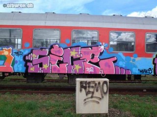 Steel Special