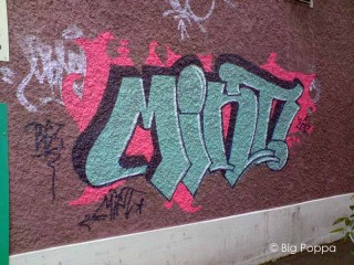 Big Poppa, d.k.77 und Beka waren spazieren
