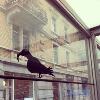 #sticker #slaps #windowzoo