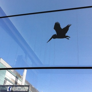 #streetart #sticker #slaps #windowzoo