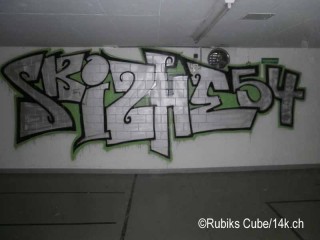 #skizhe54