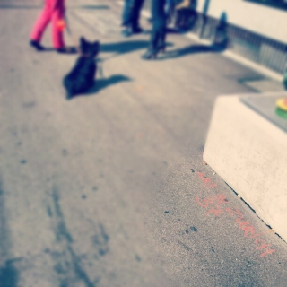 #artinzurich #37 #hittheground #tagging #graffiti
