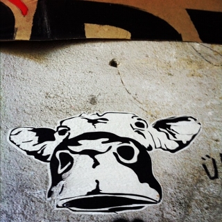 #streetart #wheatpaste of a #cow in #zurich