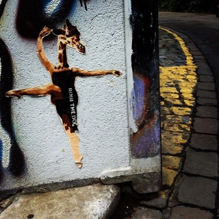 #streetart #wheatpaste by #robithedog in #zurich #switzerland