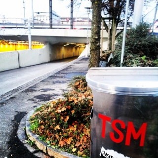 #tsm #thestickymovement #stickers #streetart @ambozuno