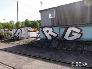 ARG